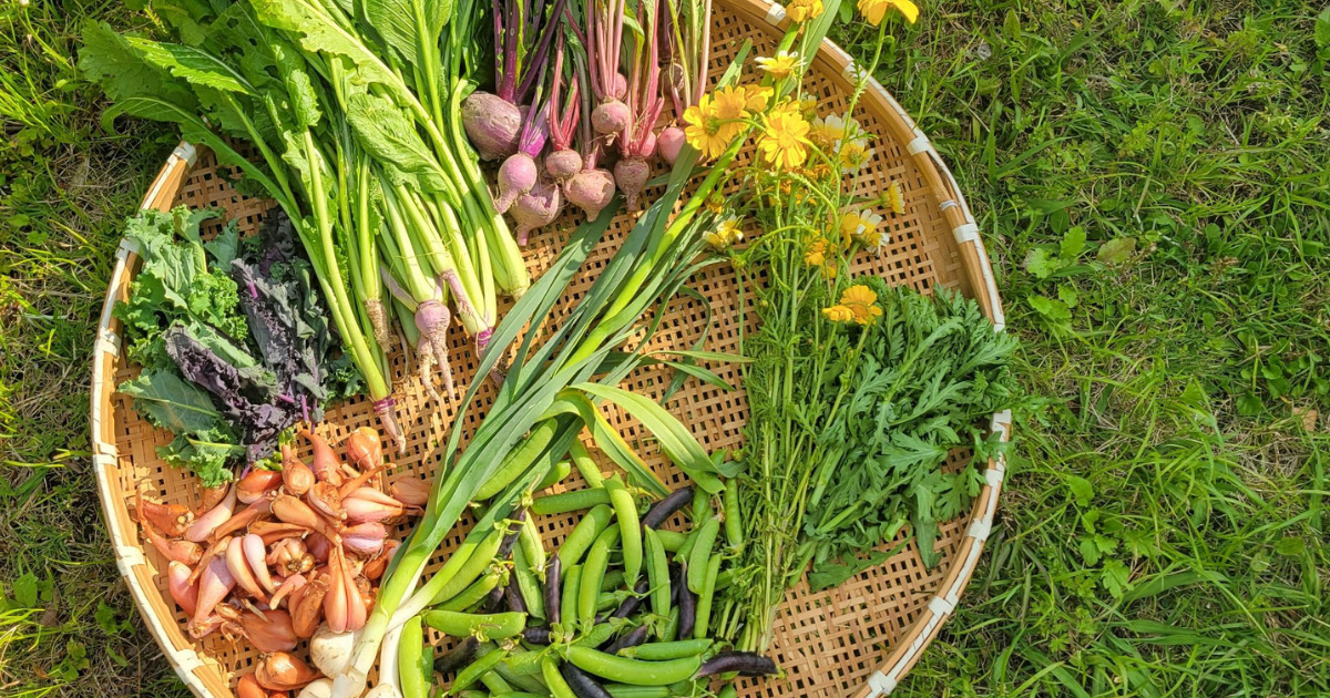 有機無農薬野菜とハーブ
